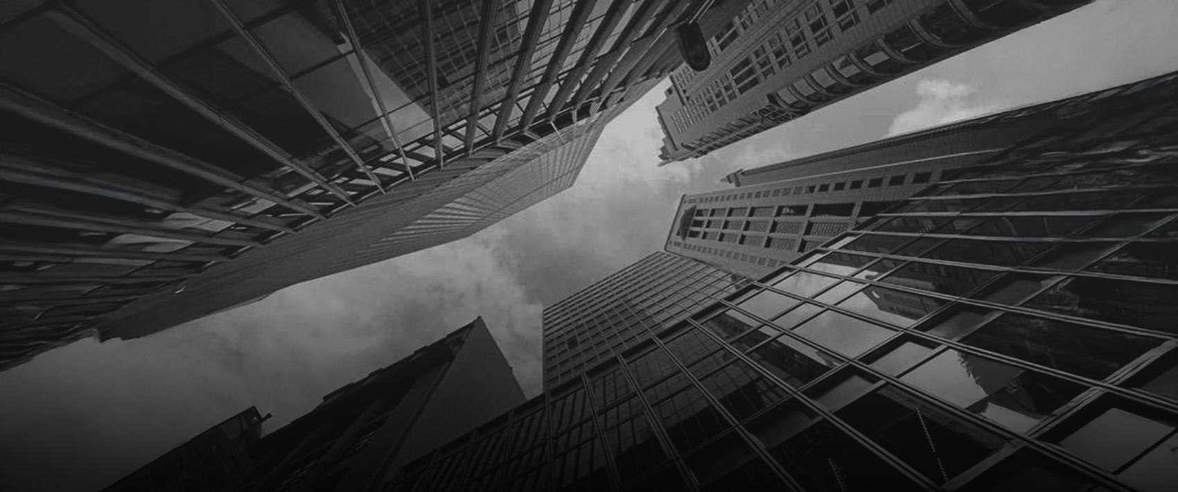 EUDR postponed: How can companies prepare?