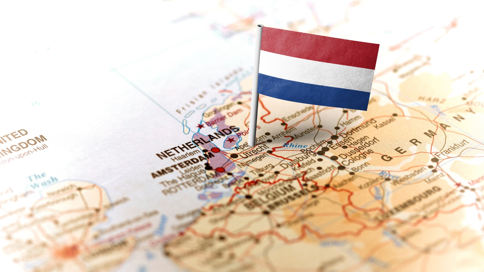 Want to start a business in the Netherlands? Here are 5 reasons to go for it!