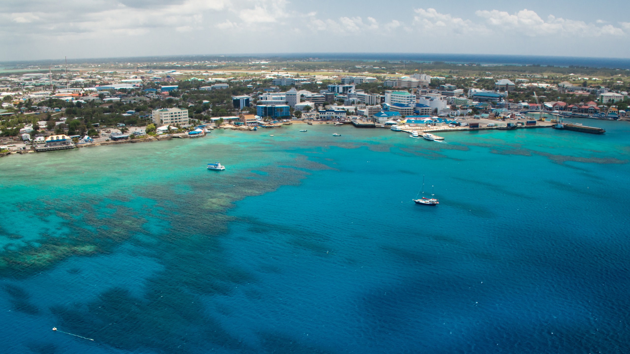 TESTING ALT TEXT IMAGE